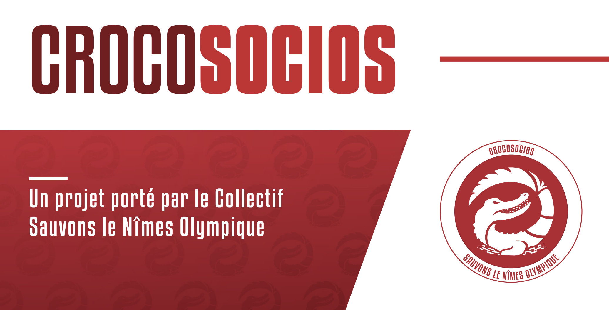Un modèle coopératif inédit pour préparer l'après Rani Assaf au Nîmes Olympique ?